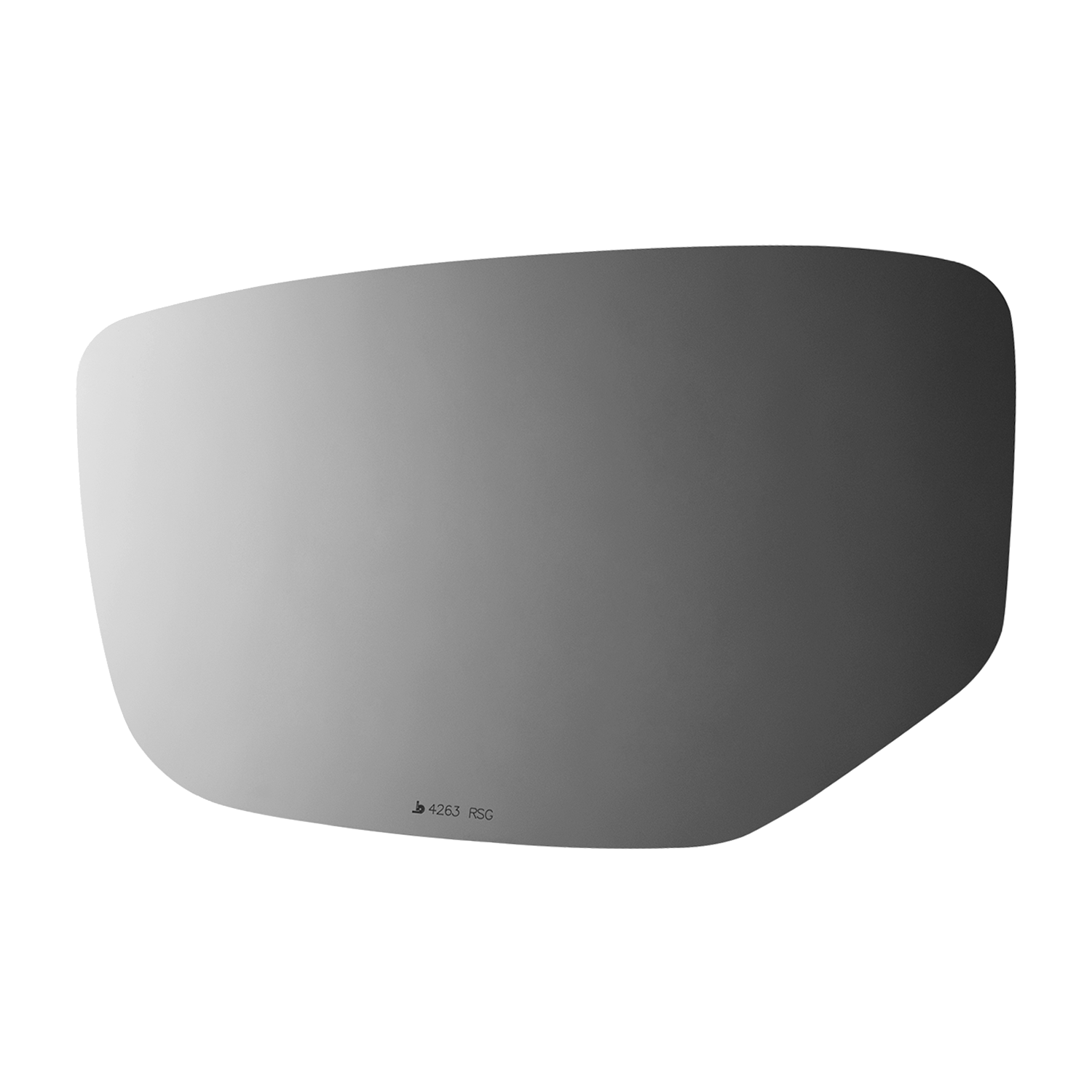 SIDE VIEW MIRROR W MOUNT